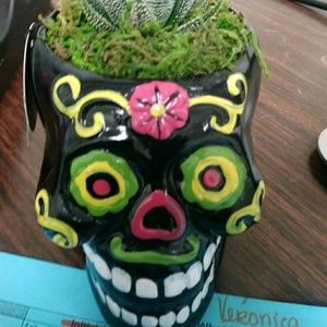 Meet your Posher, Veronica